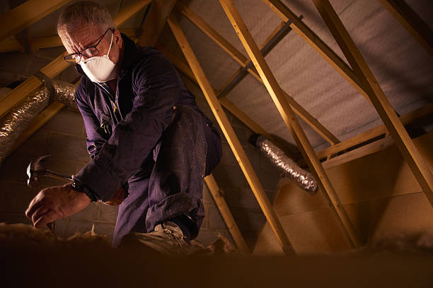 Types of Insulation We Offer in Montgomery, AL